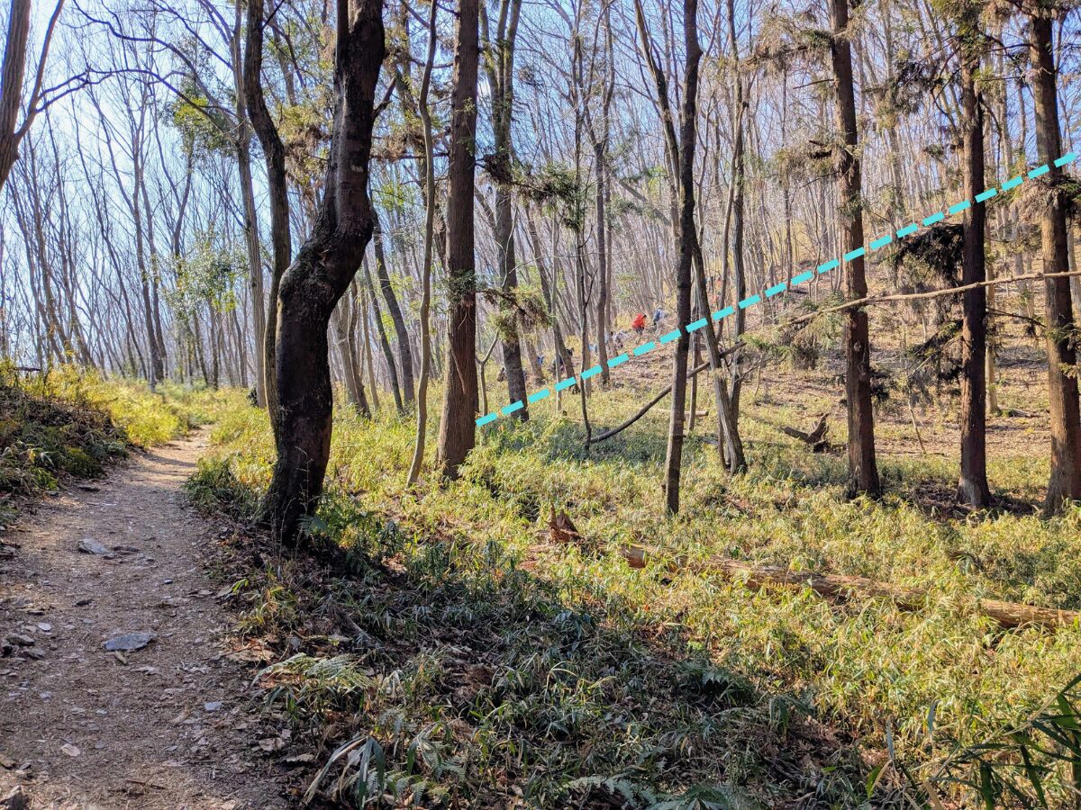 宝登山（長瀞アルプス登山口から宝登山山頂）