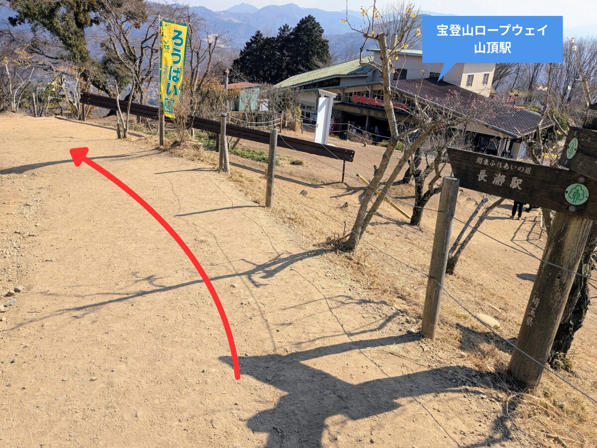 宝登山（宝登山山頂から長瀞駅）