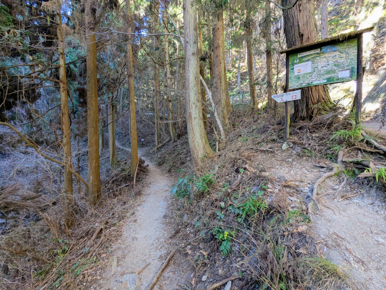 陣馬山(新ハイキングコース登山口から陣馬山山頂)