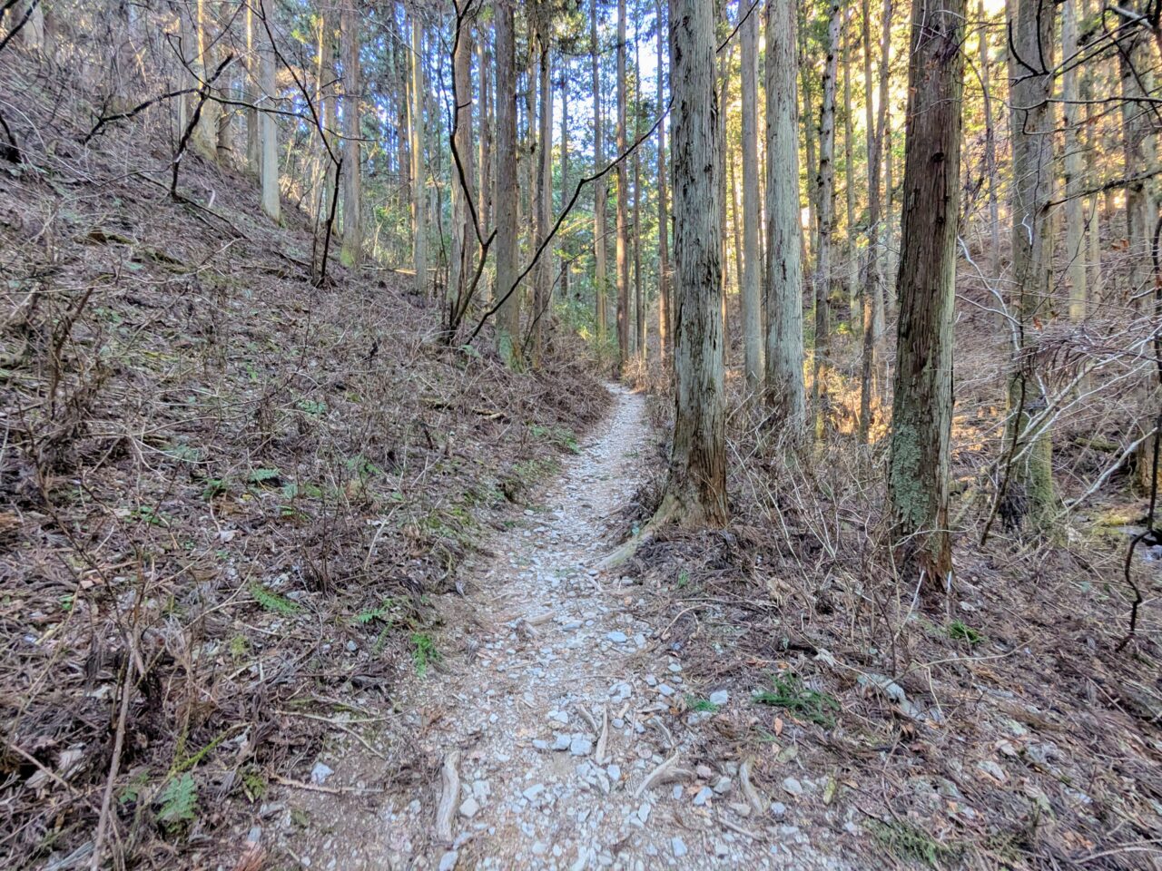 陣馬山(新ハイキングコース登山口から陣馬山山頂)