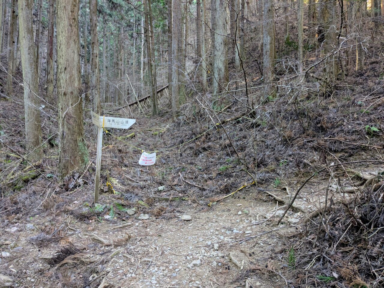 陣馬山(新ハイキングコース登山口から陣馬山山頂)