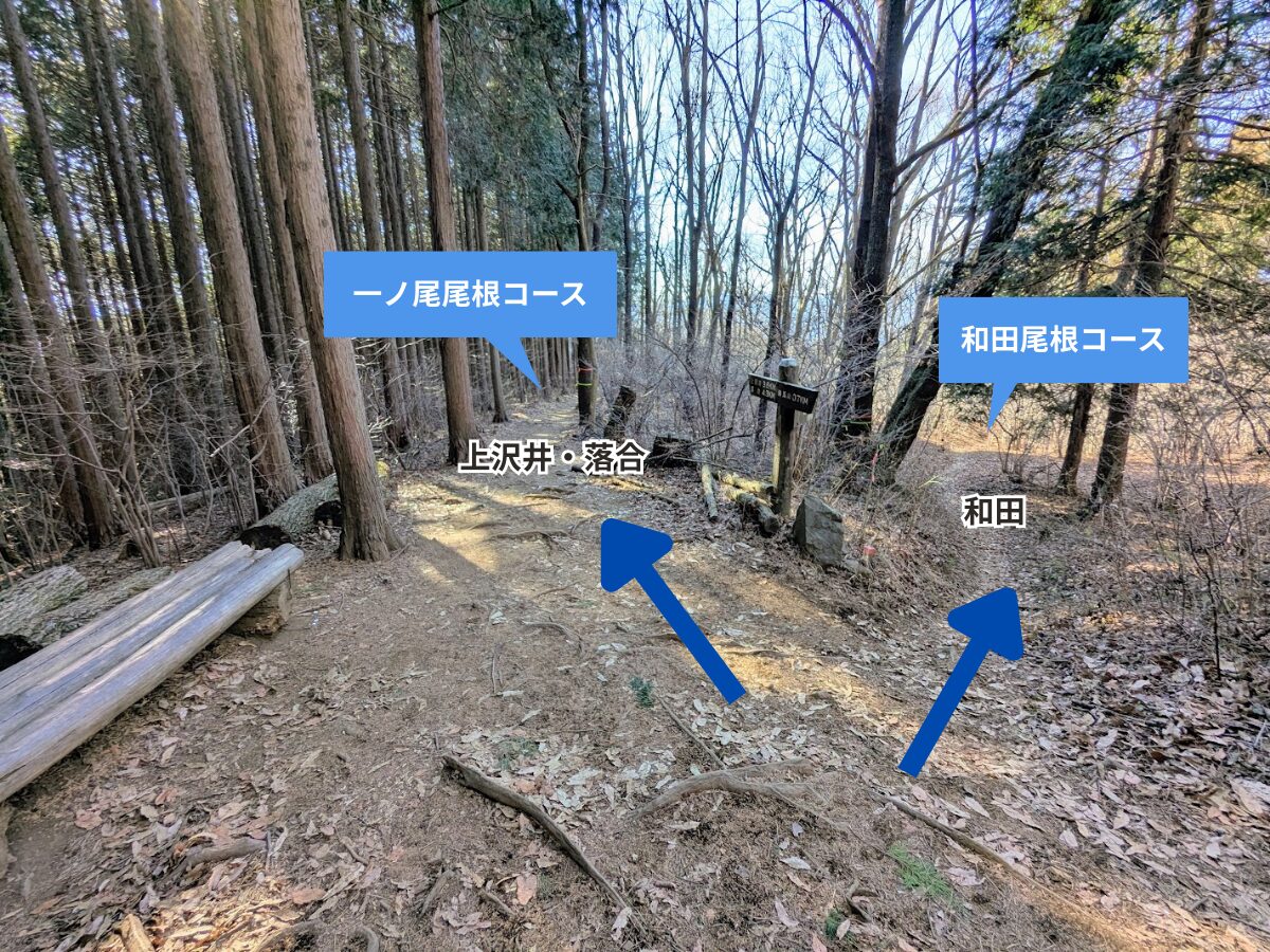 陣馬山(陣馬山山頂から陣馬登山口)
