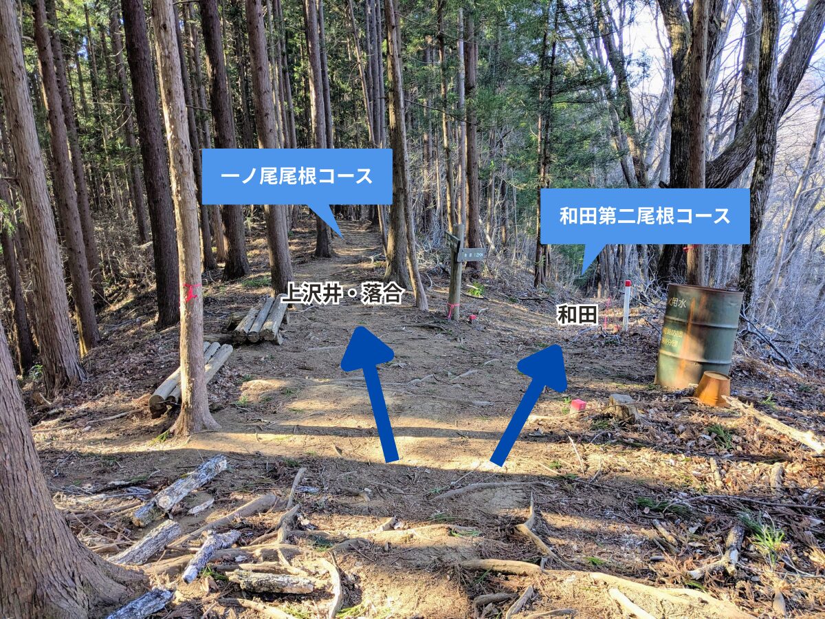 陣馬山(陣馬山山頂から陣馬登山口)