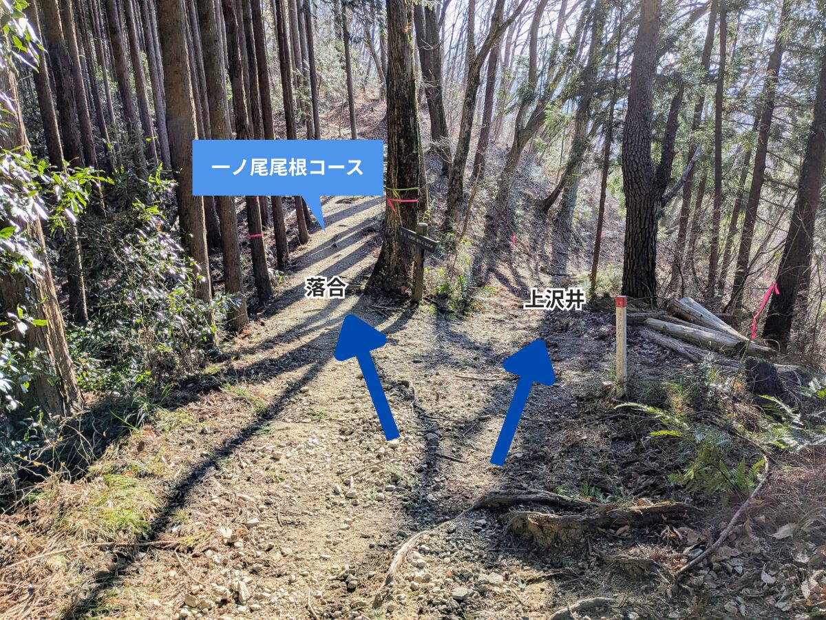 陣馬山(陣馬山山頂から陣馬登山口)