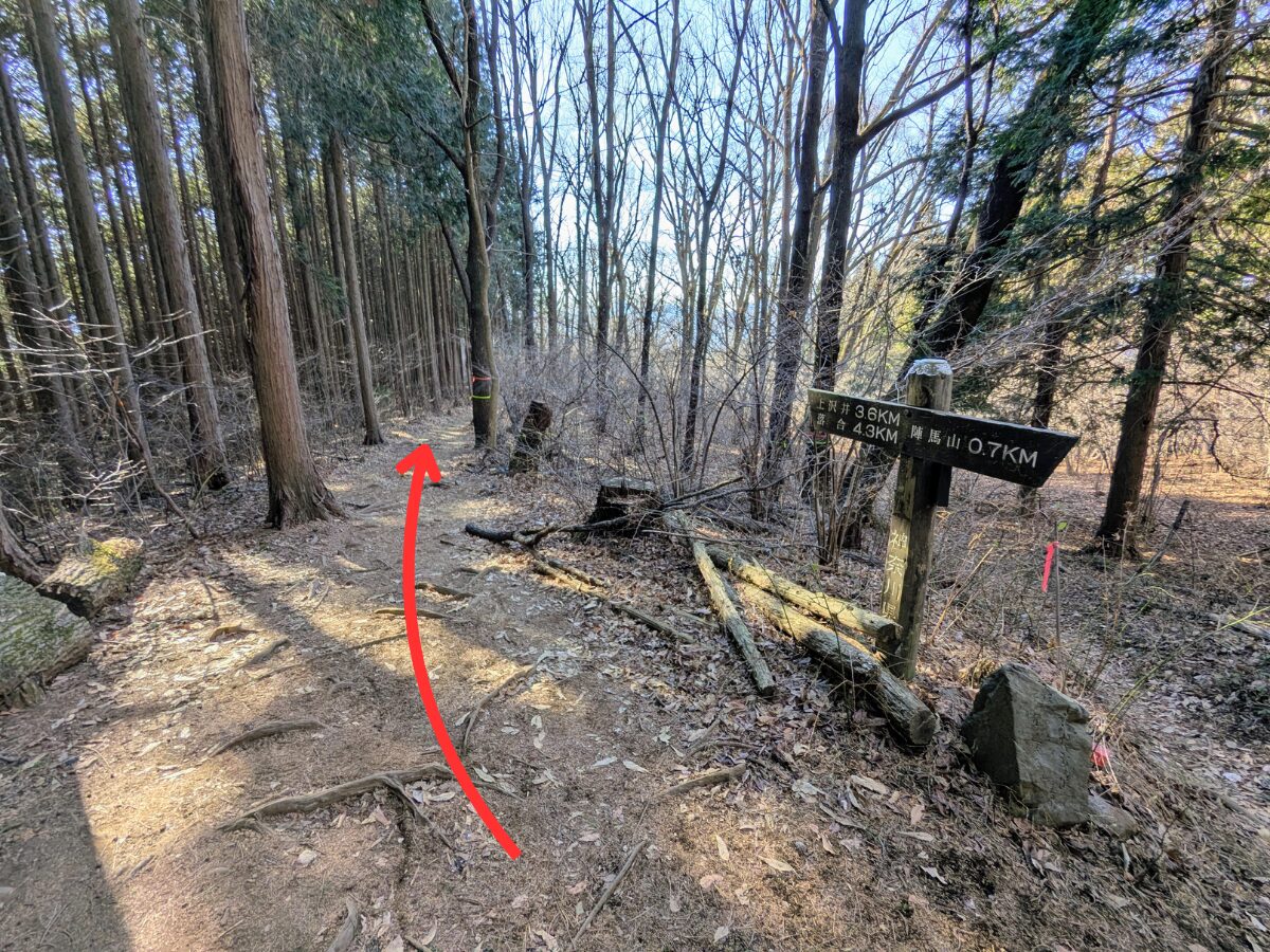 陣馬山(陣馬山山頂から陣馬登山口)