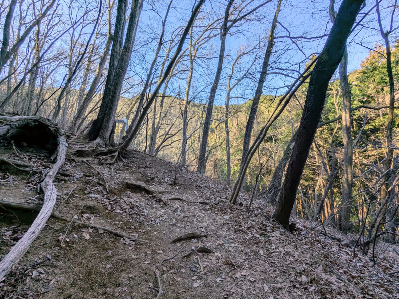 陣馬山(新ハイキングコース登山口から陣馬山山頂)