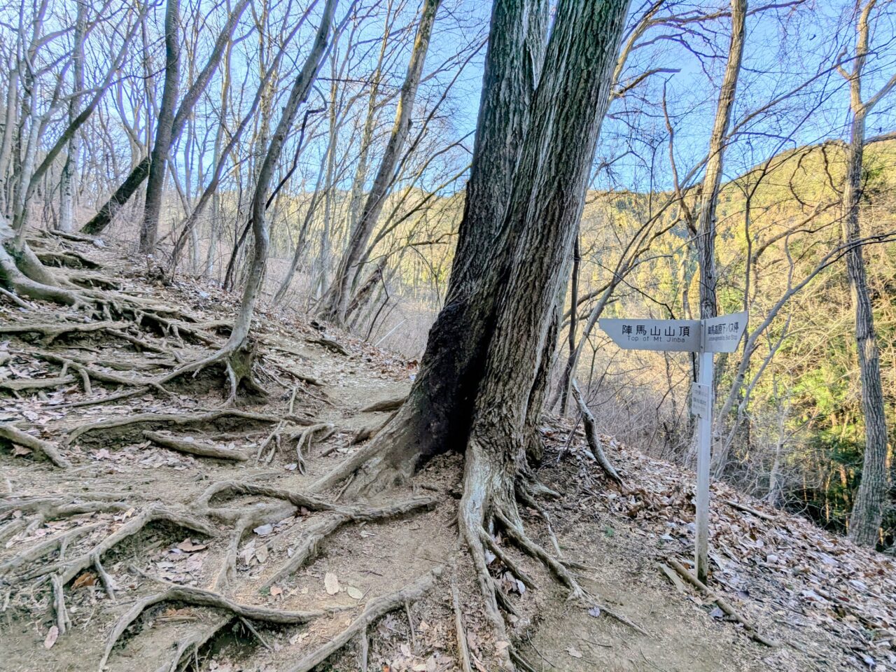 陣馬山(新ハイキングコース登山口から陣馬山山頂)