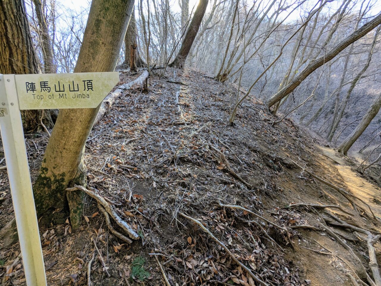 陣馬山(新ハイキングコース登山口から陣馬山山頂)