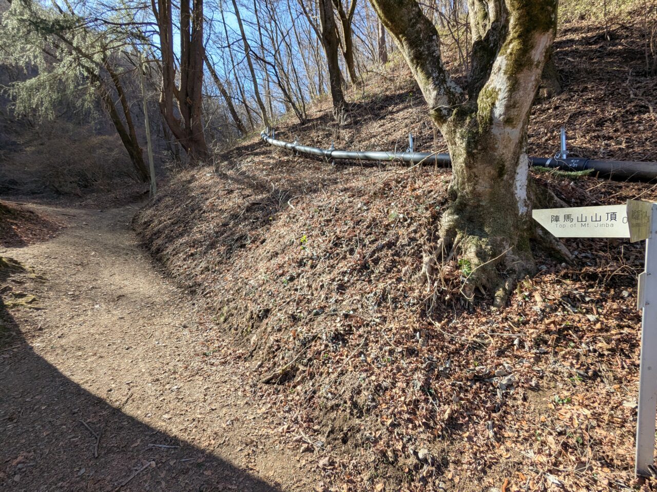 陣馬山(新ハイキングコース登山口から陣馬山山頂)