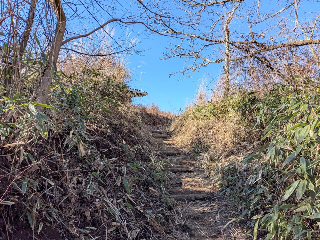 陣馬山(新ハイキングコース登山口から陣馬山山頂)