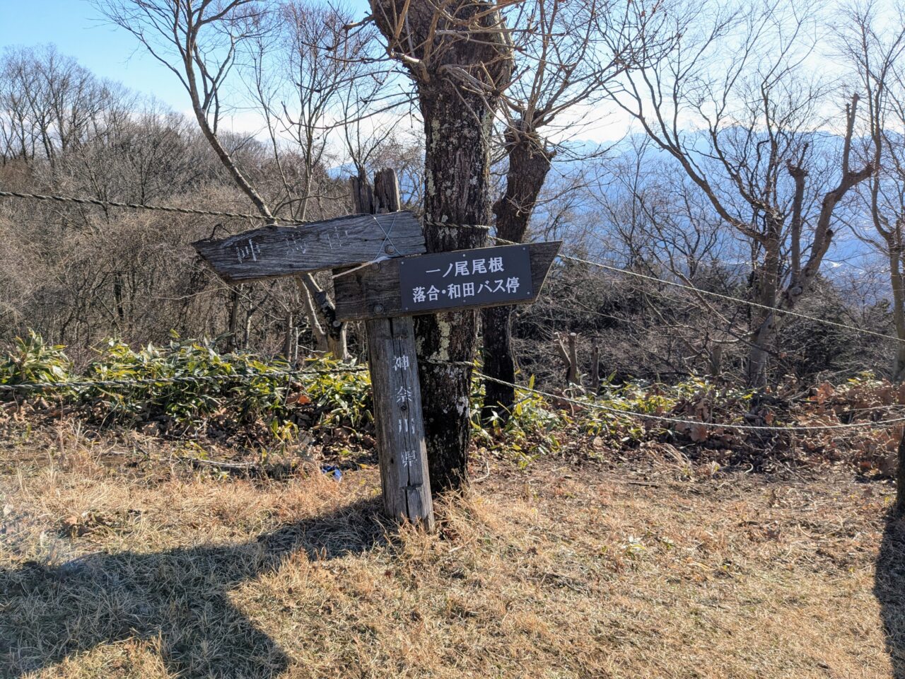 陣馬山(陣馬山山頂から陣馬登山口)