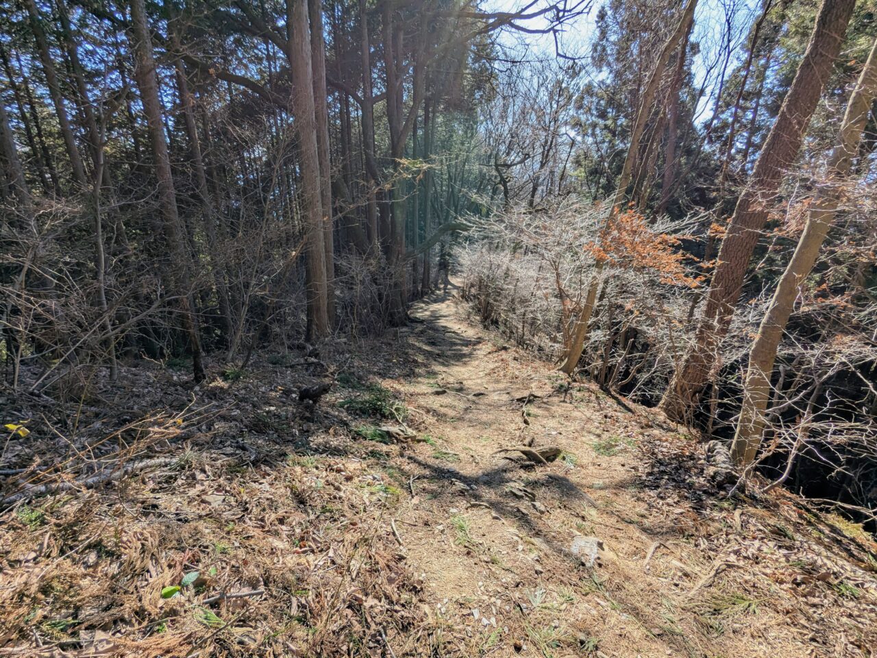 陣馬山(陣馬山山頂から陣馬登山口)