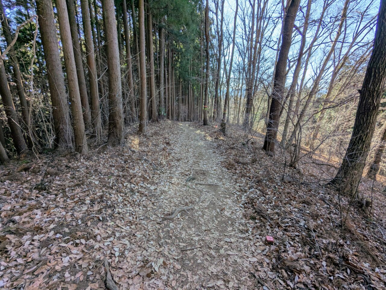 陣馬山(陣馬山山頂から陣馬登山口)
