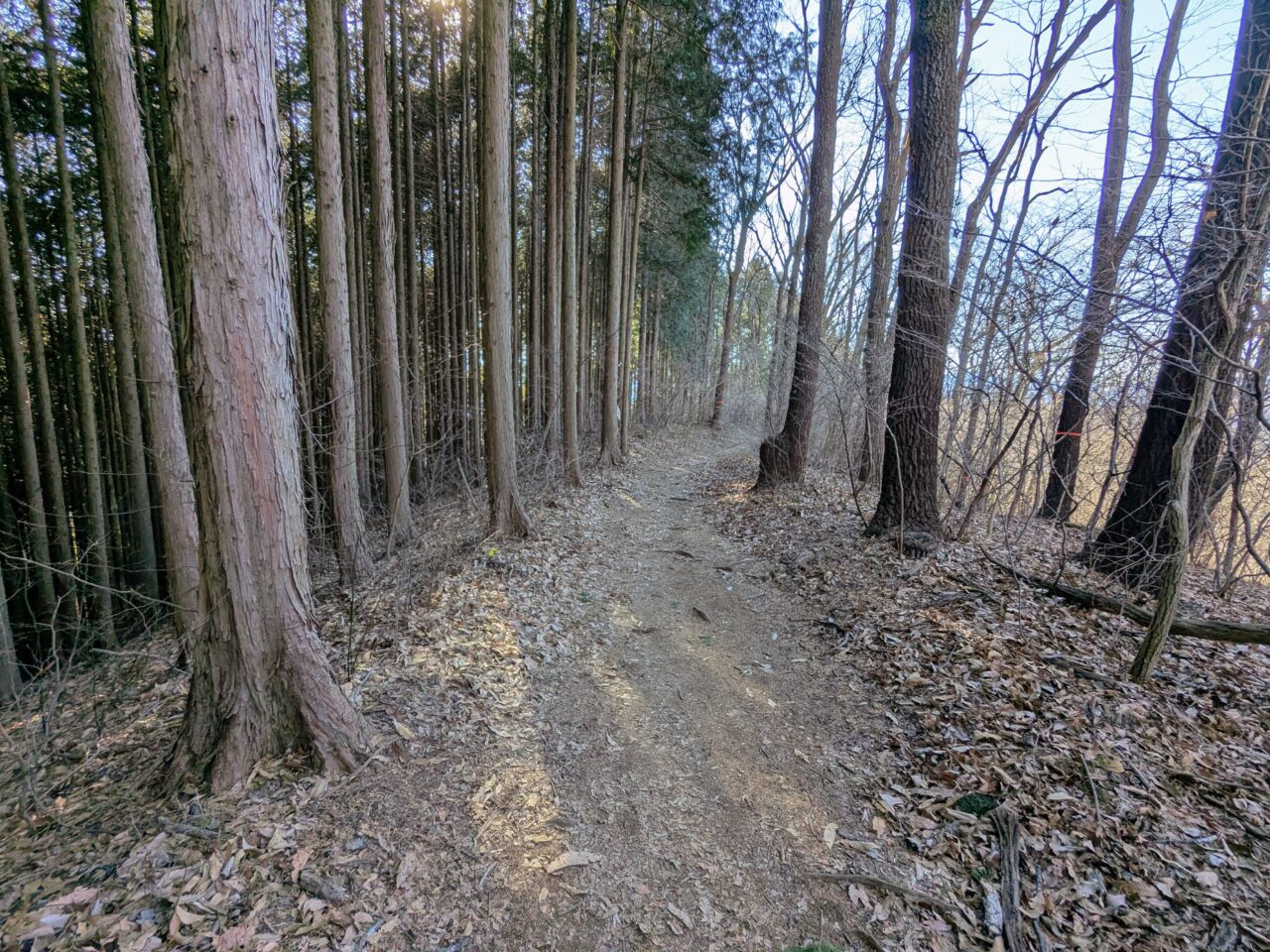 陣馬山(陣馬山山頂から陣馬登山口)