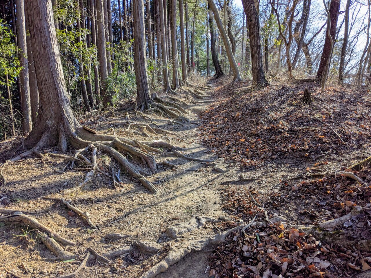 陣馬山(陣馬山山頂から陣馬登山口)