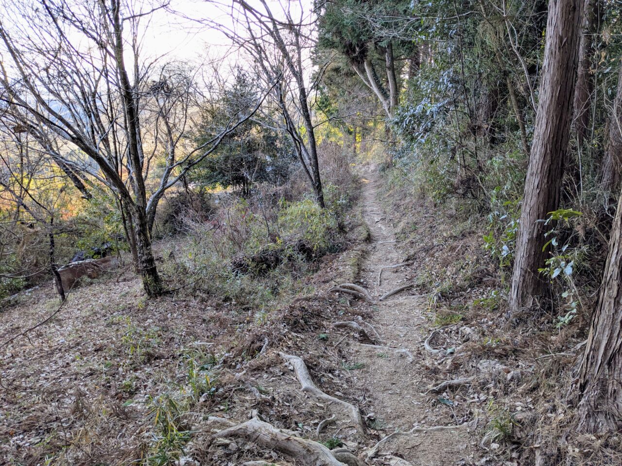 陣馬山(陣馬山山頂から陣馬登山口)