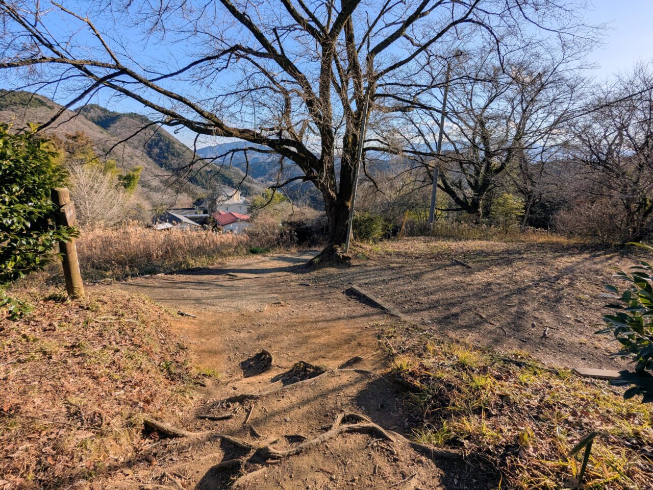 陣馬山(陣馬山山頂から陣馬登山口)