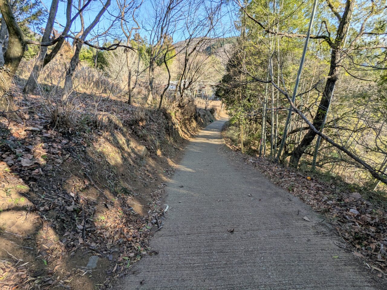 陣馬山(陣馬山山頂から陣馬登山口)