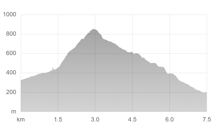 陣馬山の登山コース(新ハイキングコース→一ノ尾尾根コース)