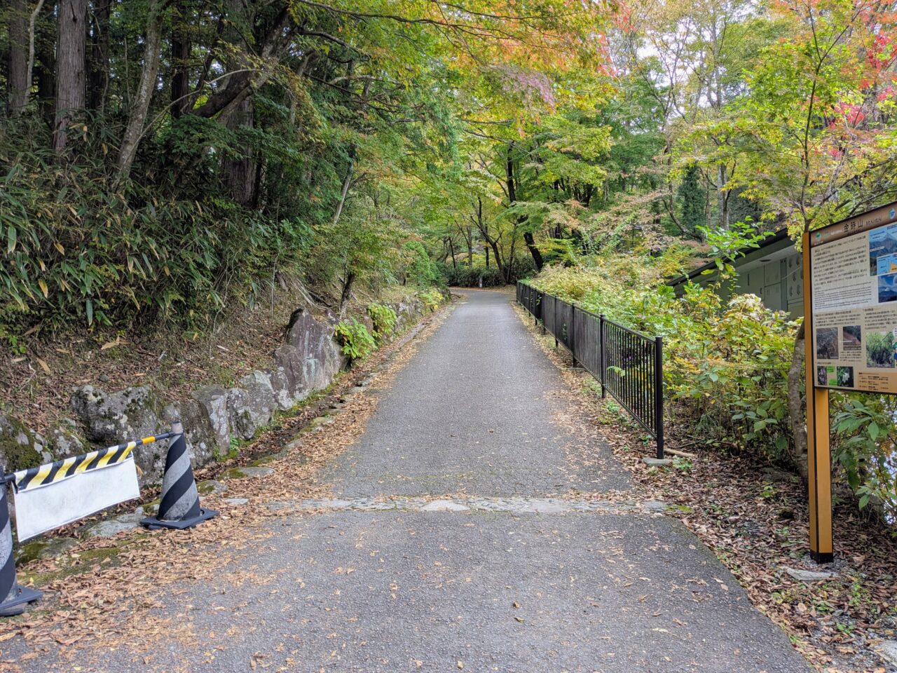 金時山(金時神社ルート)