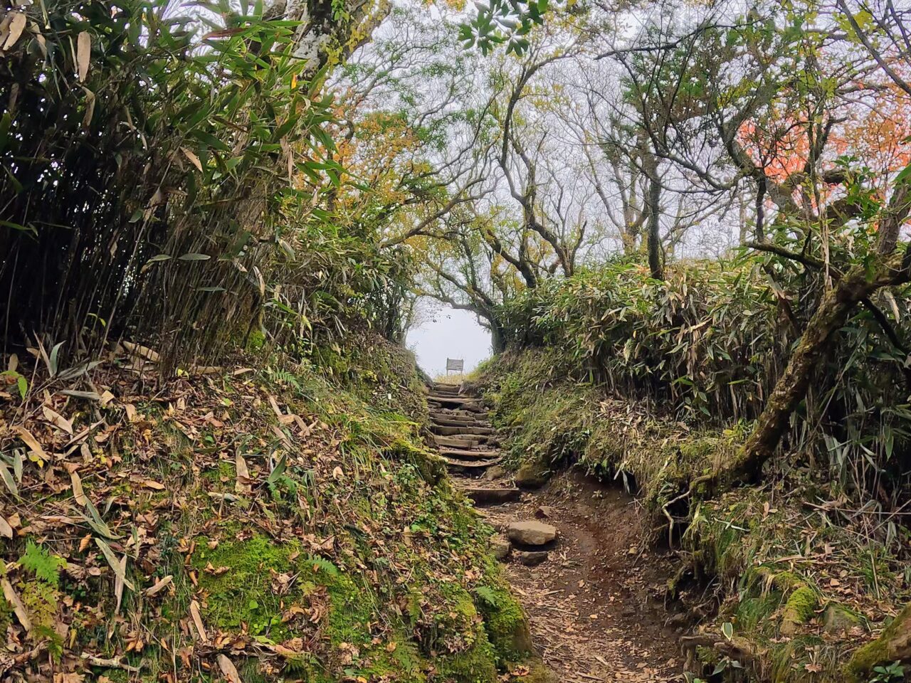 金時山(金時神社ルート)