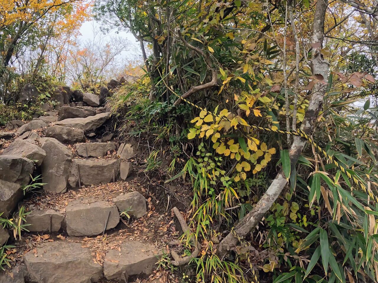 金時山(金時神社ルート)
