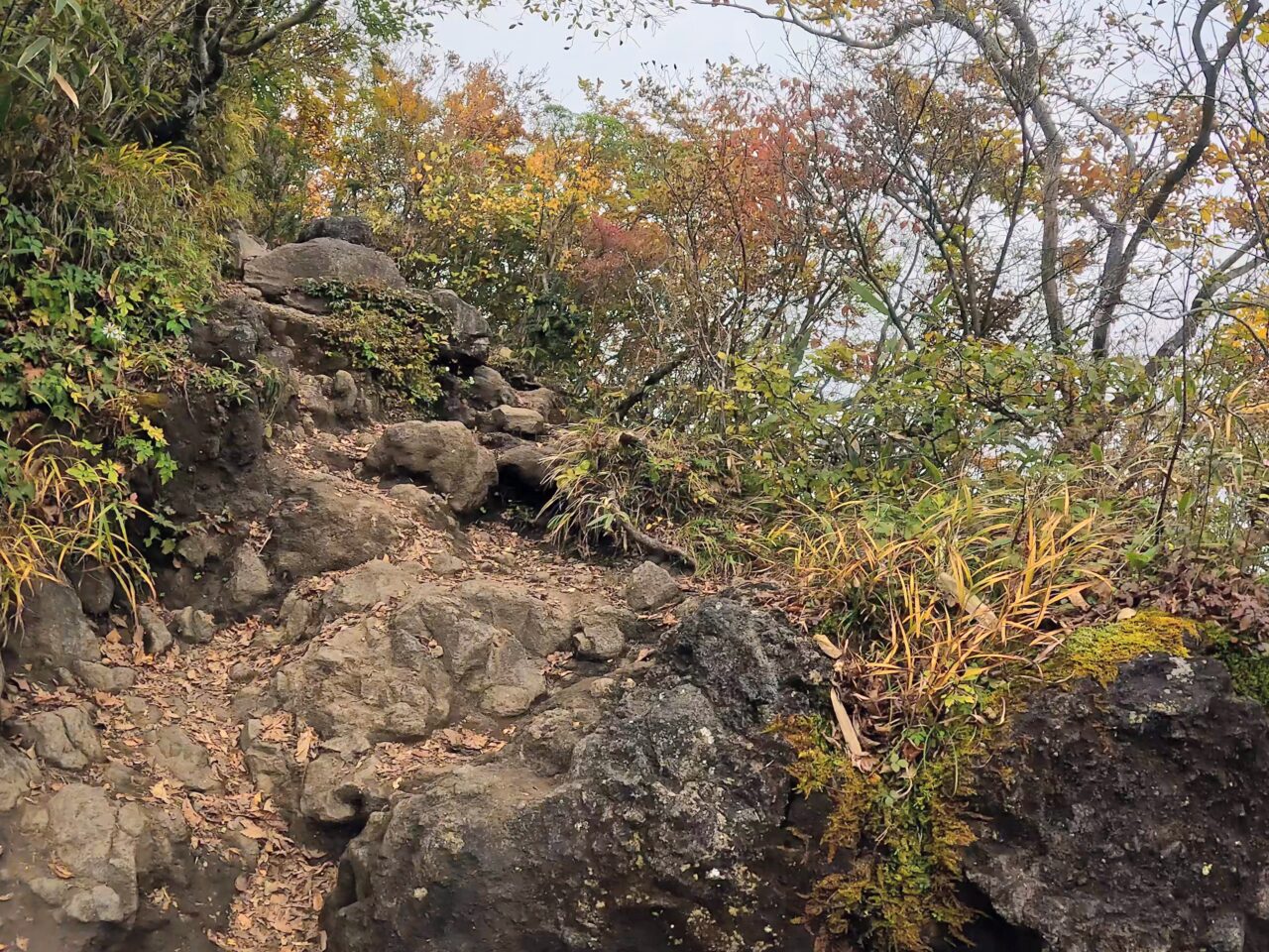 金時山(金時神社ルート)
