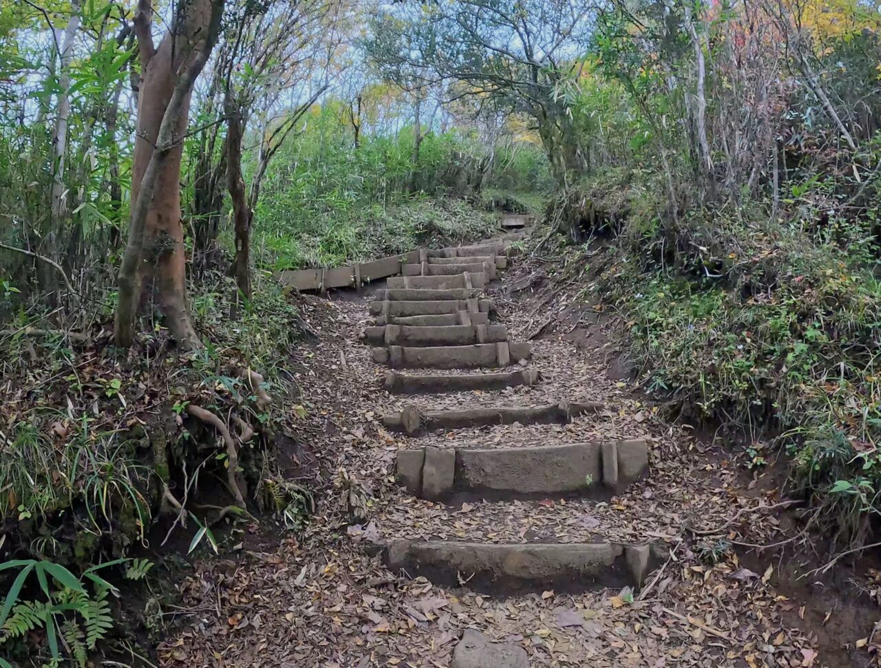 金時山(金時神社ルート)
