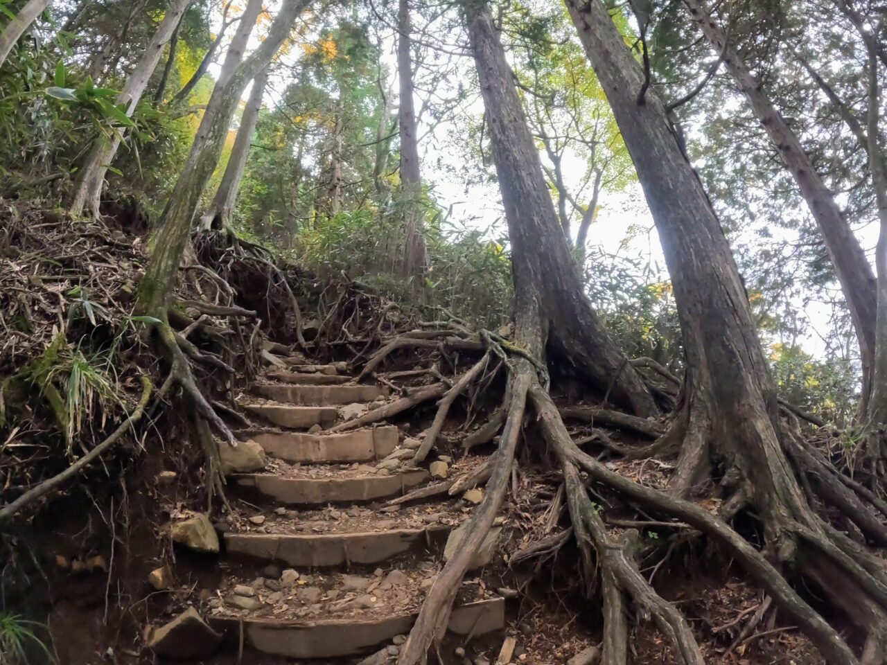 金時山(金時神社ルート)