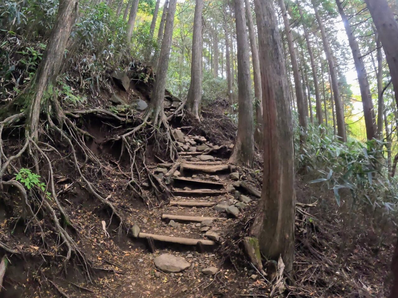 金時山(金時神社ルート)