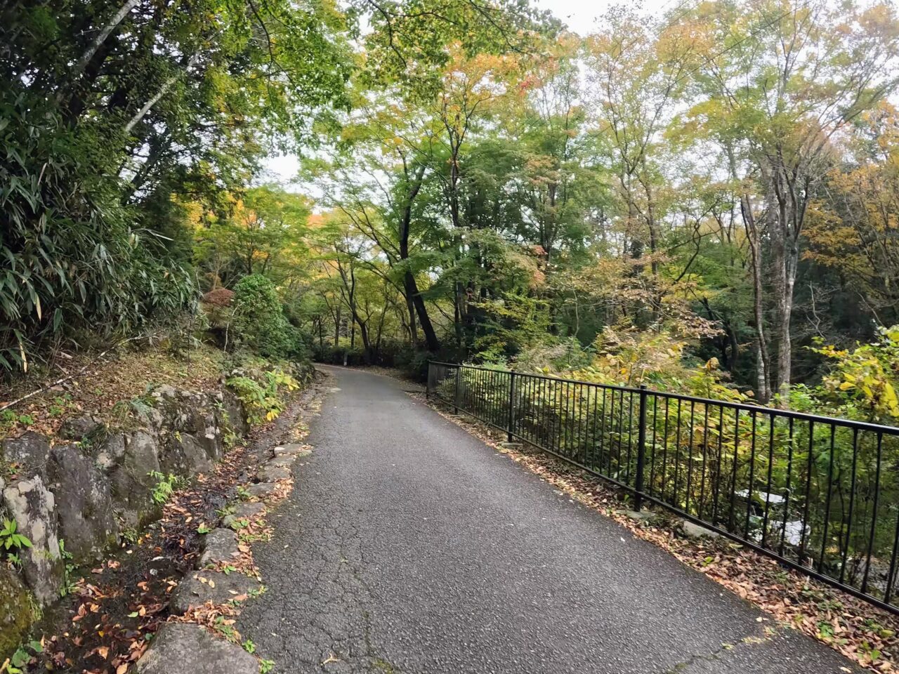 金時山(金時神社ルート)