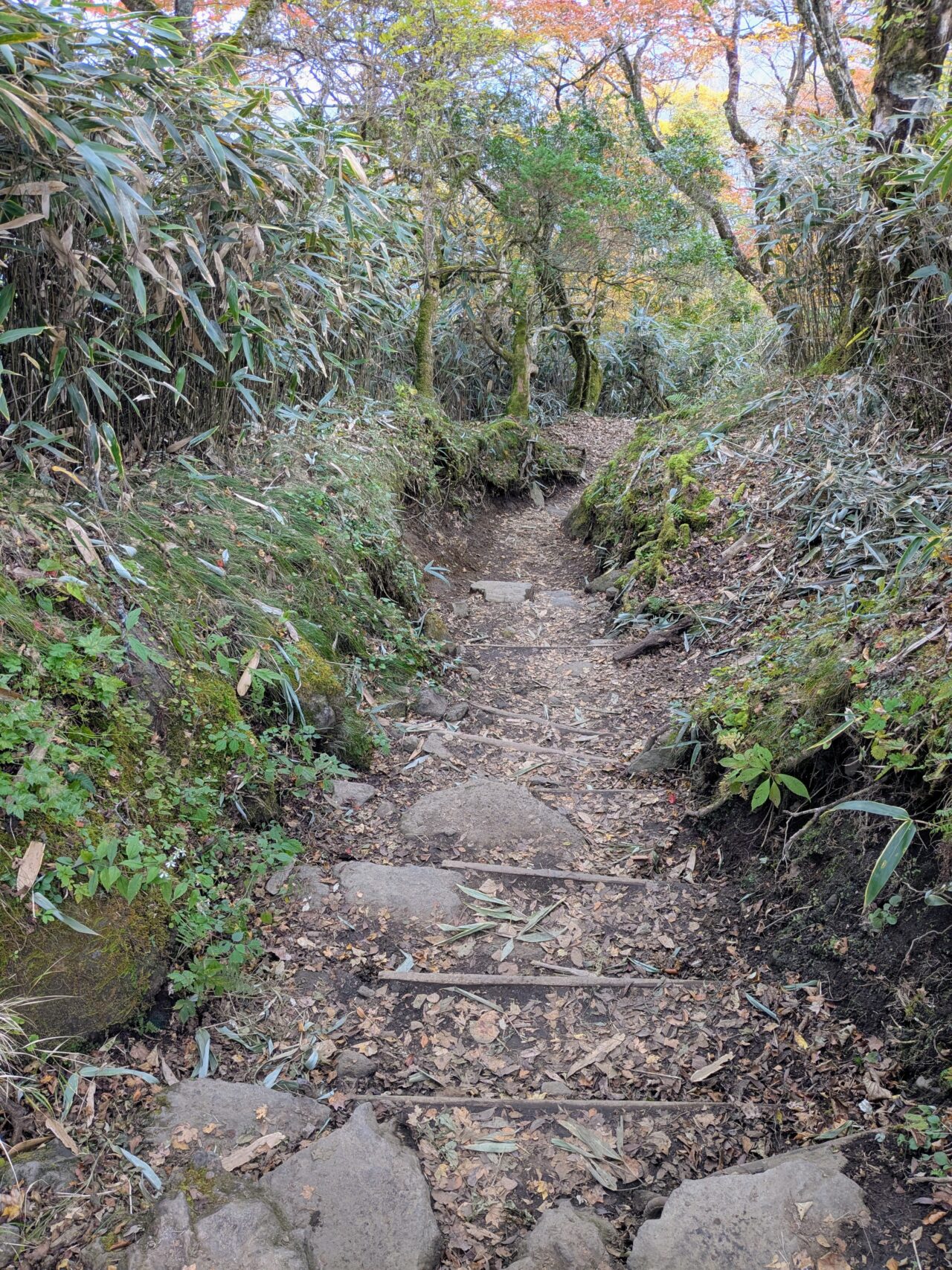金時山(金時登山口ルート)