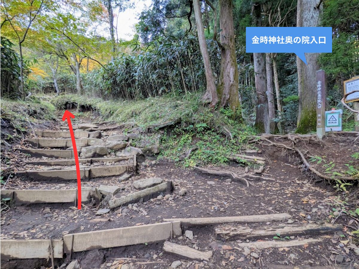 金時山(金時神社ルート)
