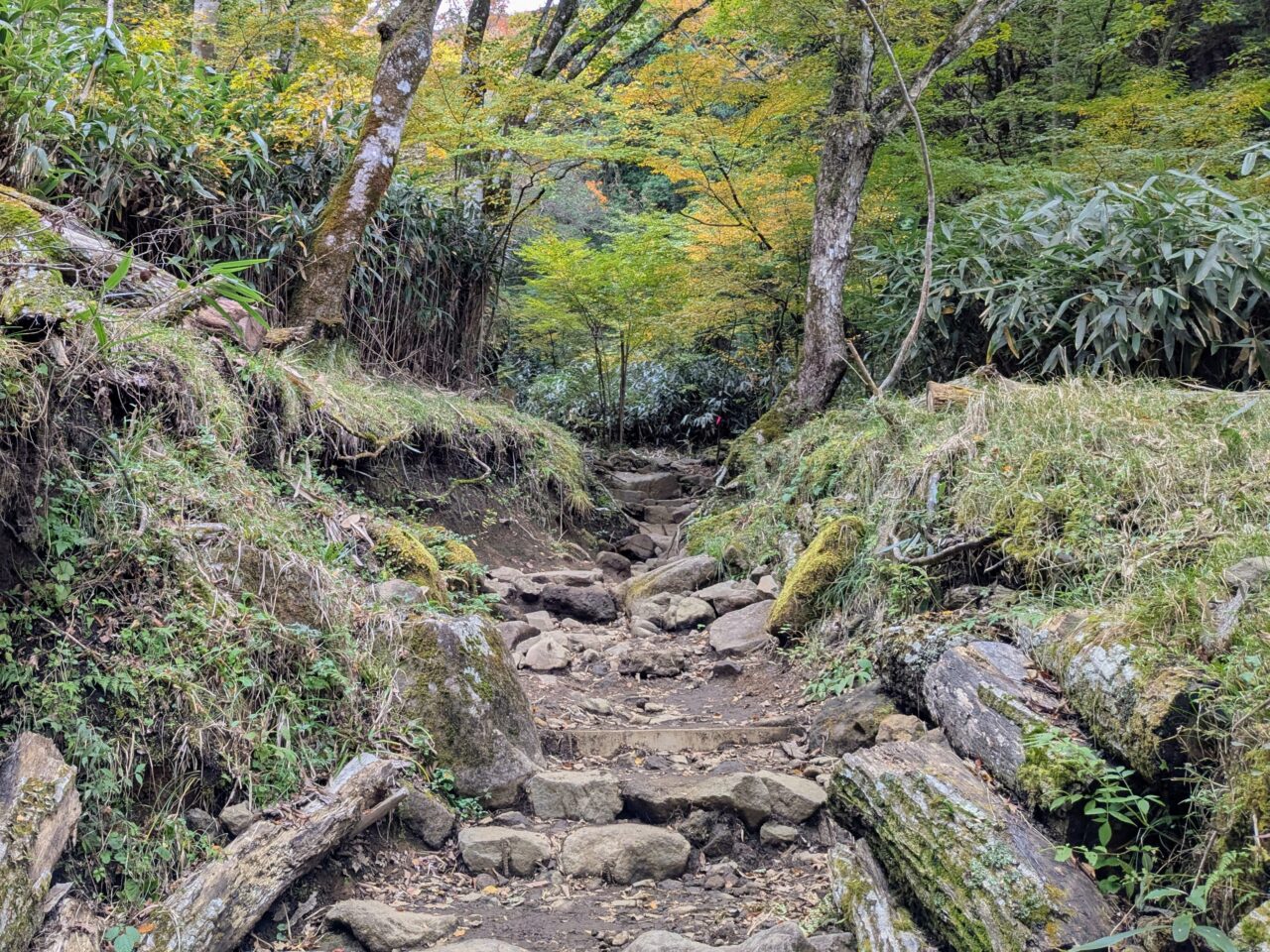 金時山(金時神社ルート)