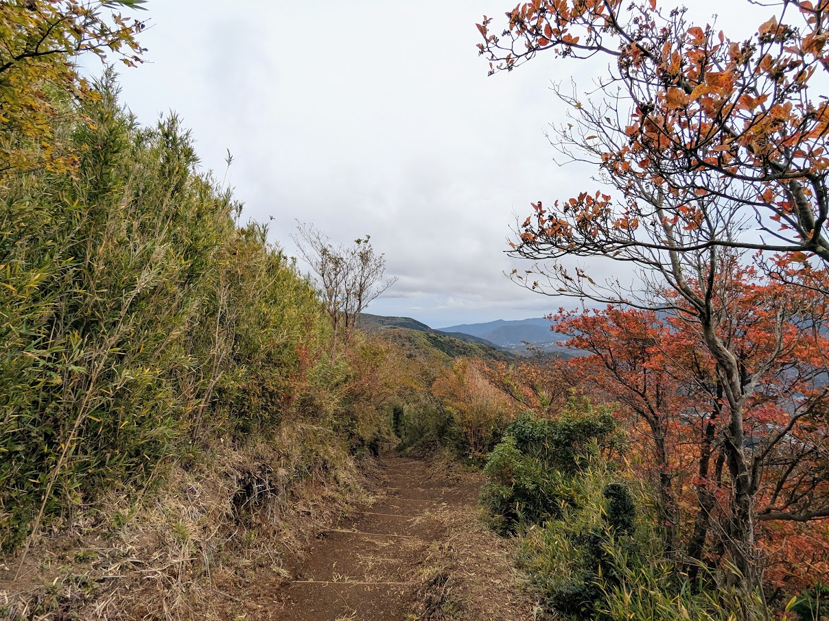 金時山(金時登山口ルート)