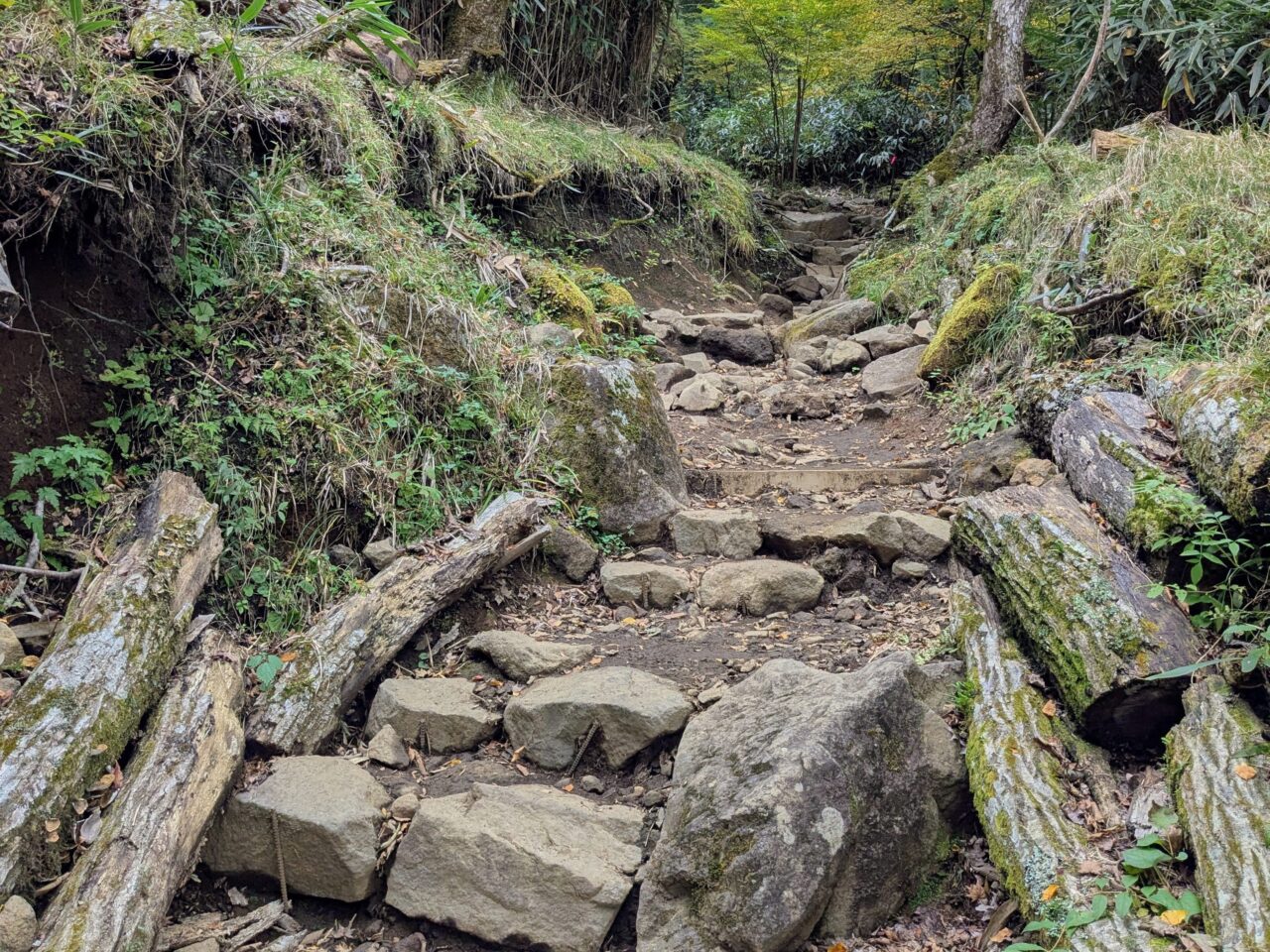 金時山(金時神社ルート)