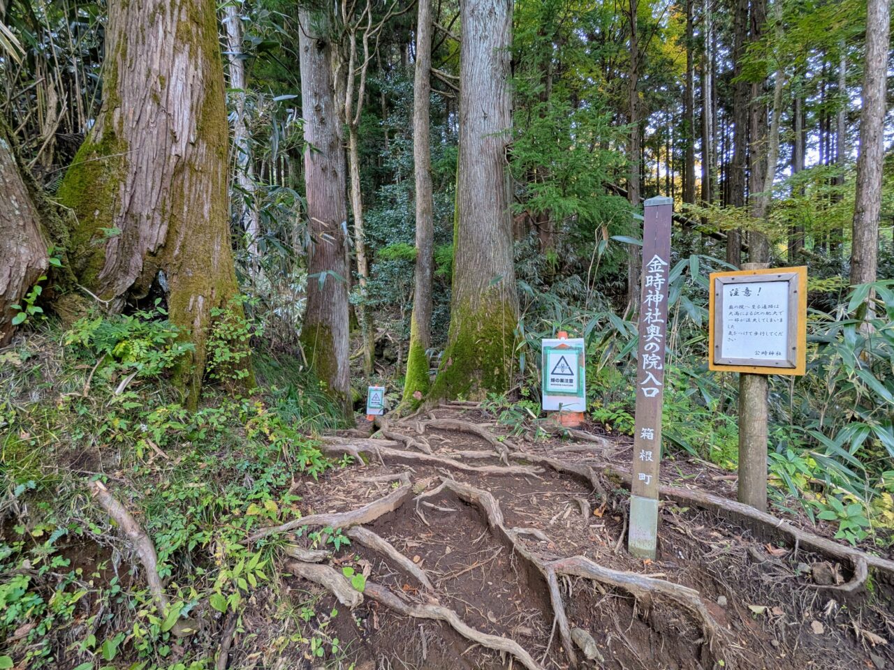 金時山(金時神社ルート)