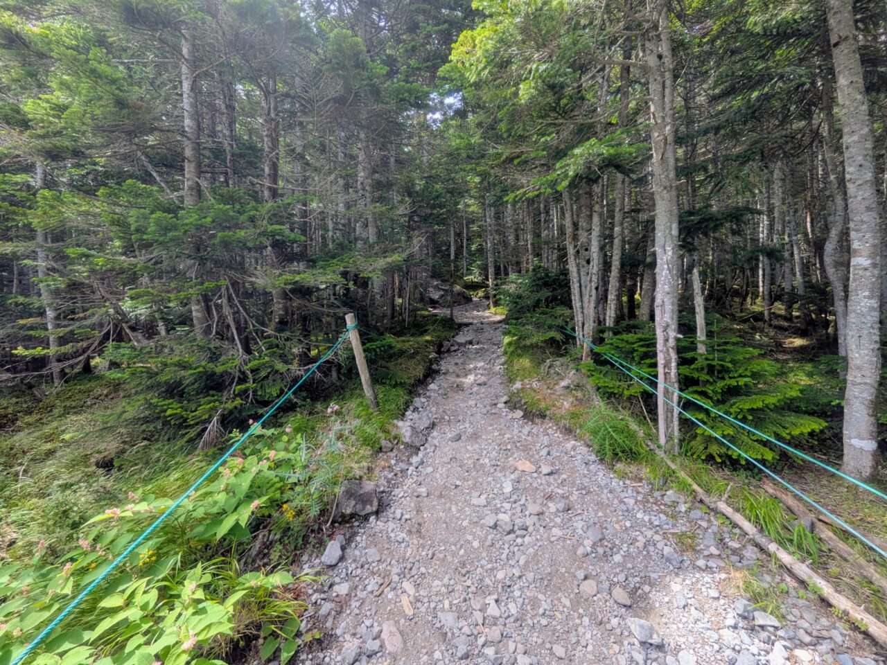 北横岳(山頂駅から北横岳山頂)