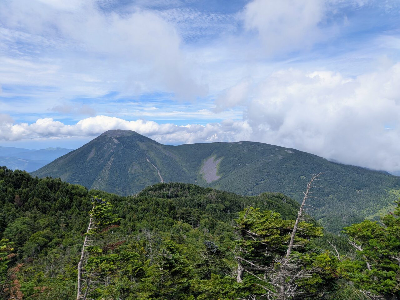 北横岳北峰の眺望(蓼科山)