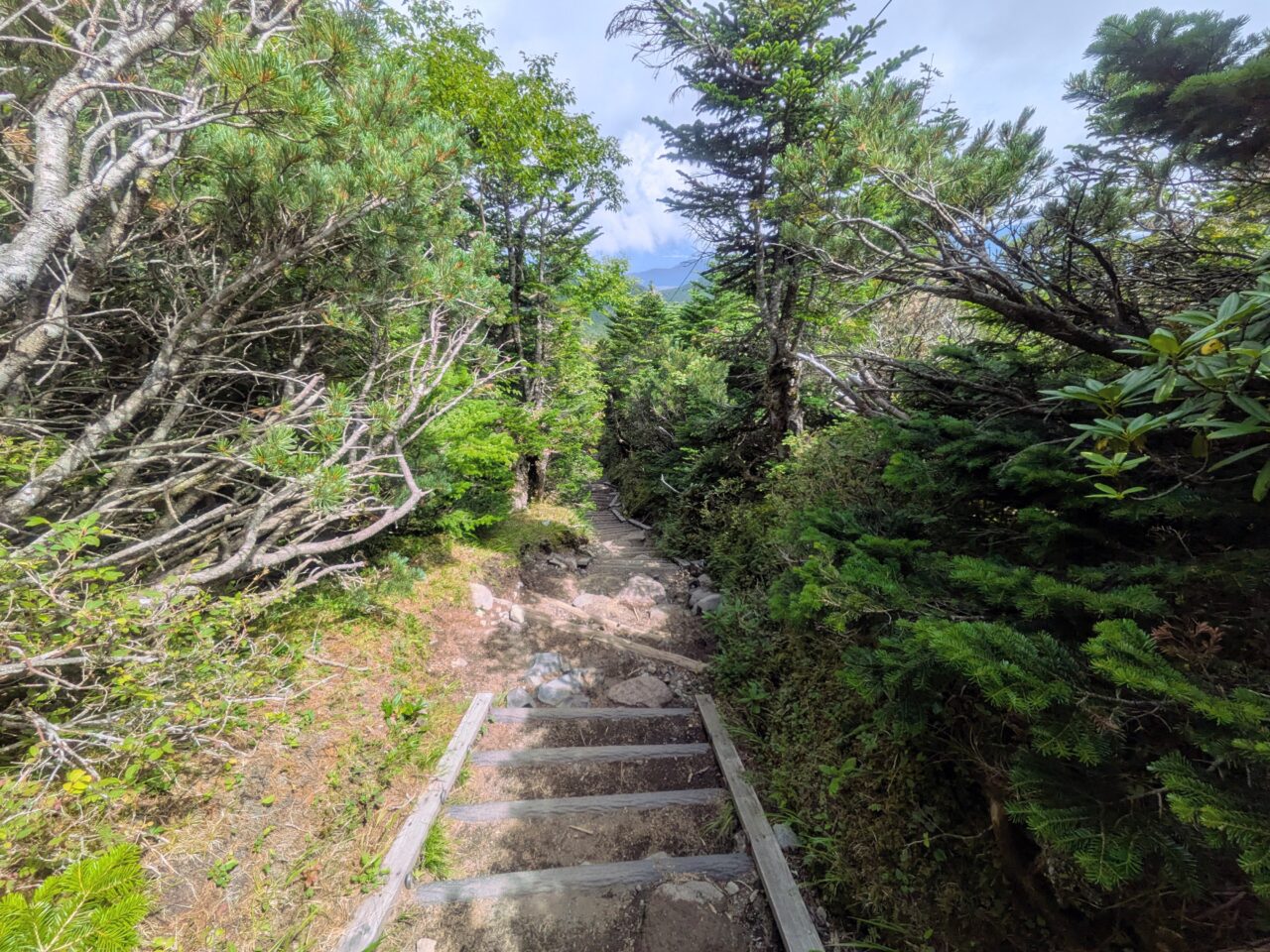 北横岳(北横岳山頂から山頂駅)