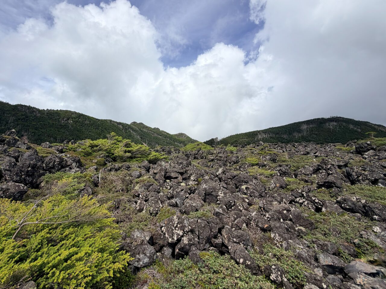 北横岳(坪庭)
