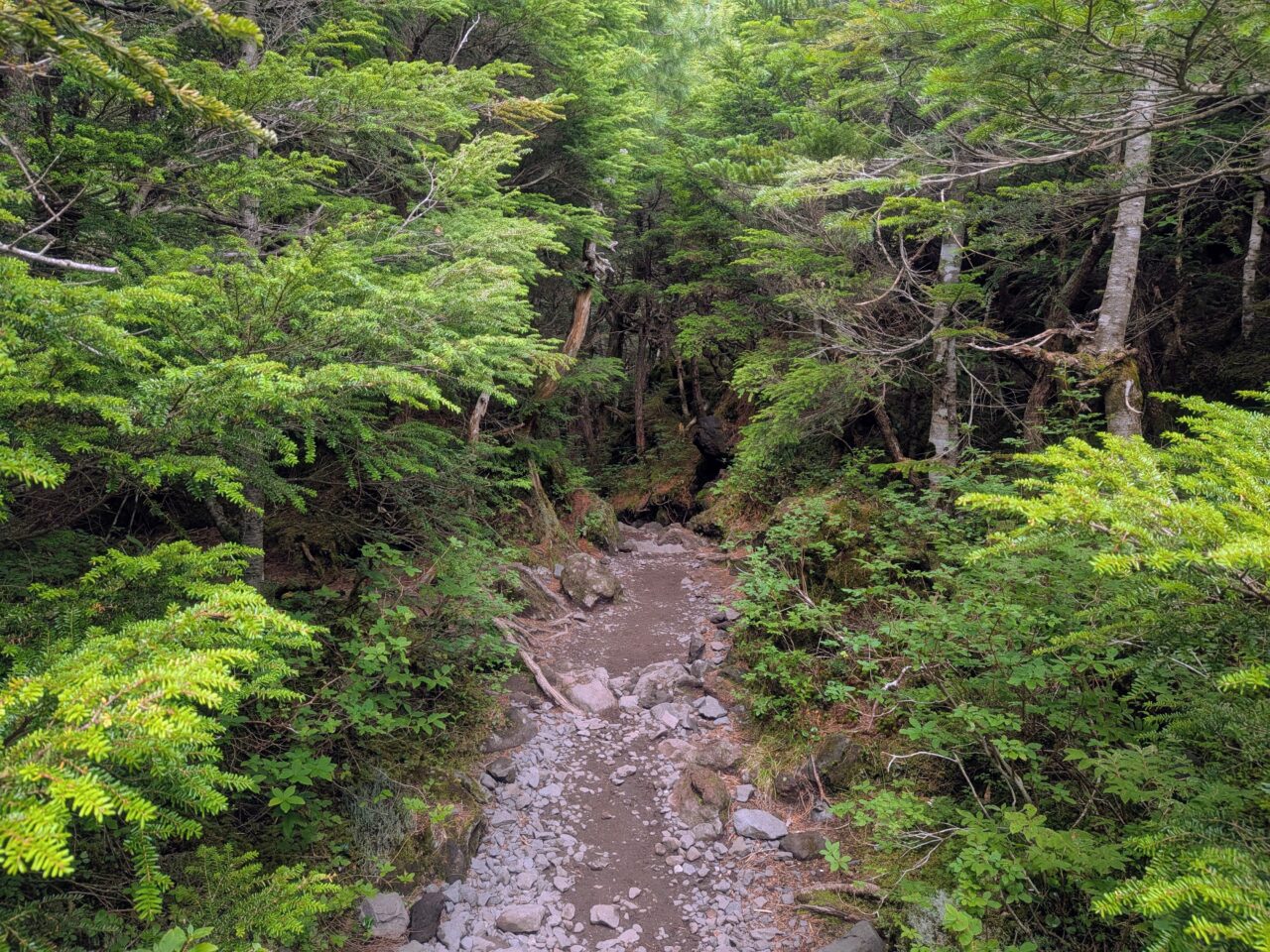 北横岳(山頂駅から北横岳山頂)