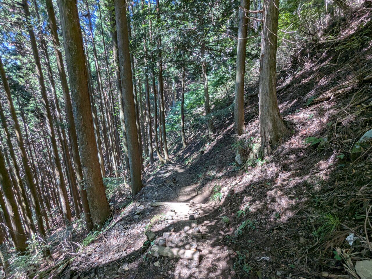 御岳山(ロックガーデン)