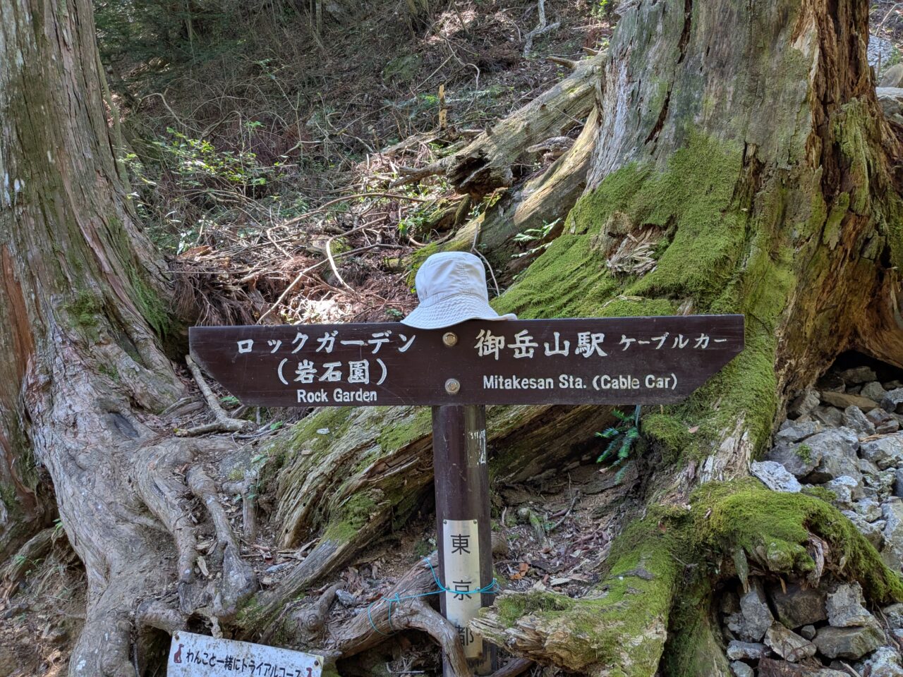 御岳山(ロックガーデン)