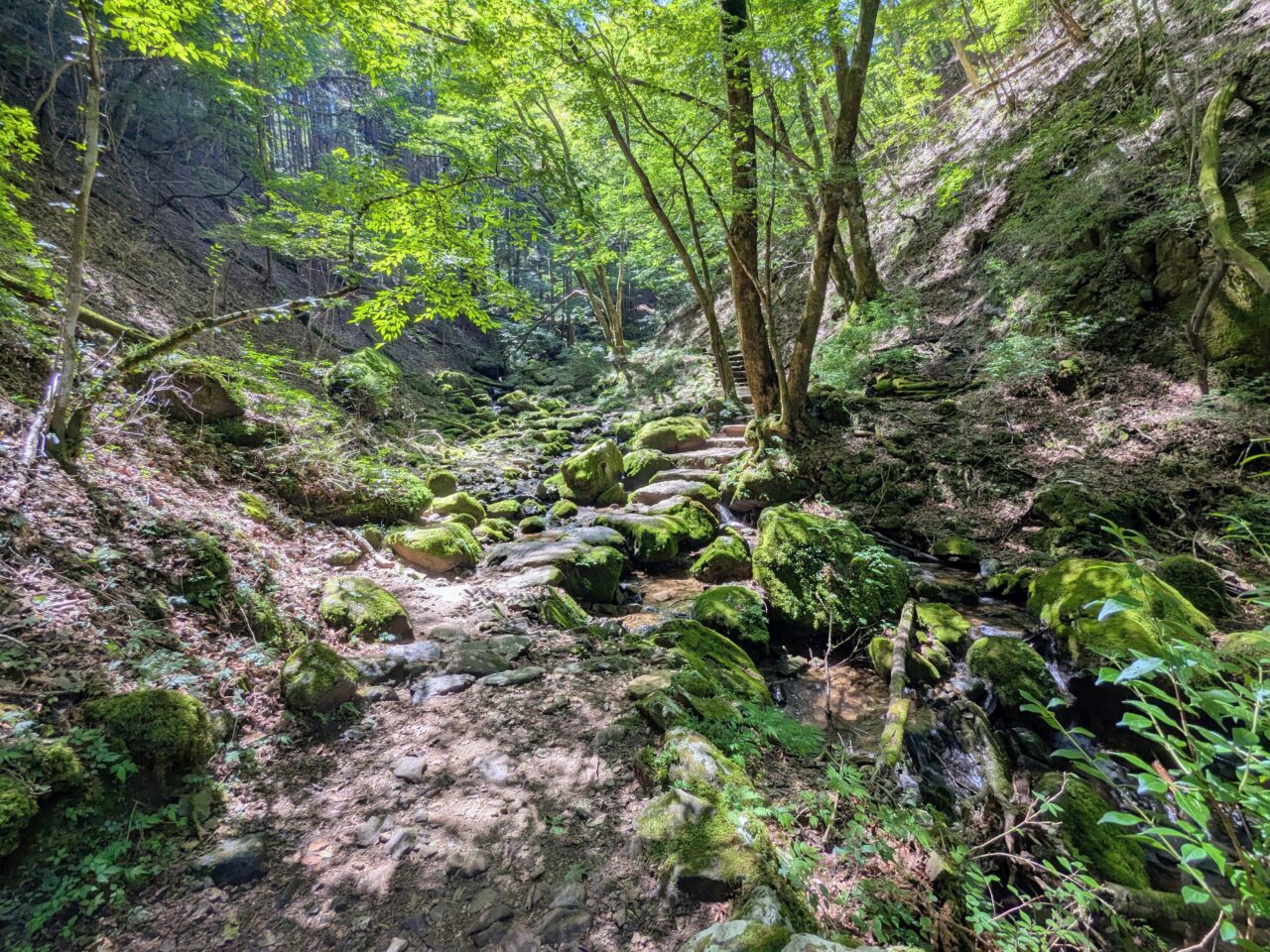 御岳山(ロックガーデン)