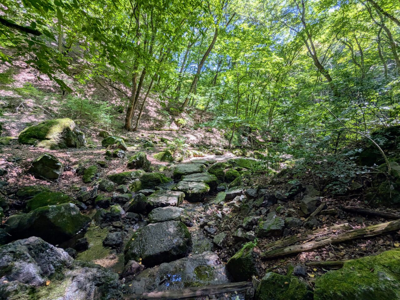 御岳山(ロックガーデン)