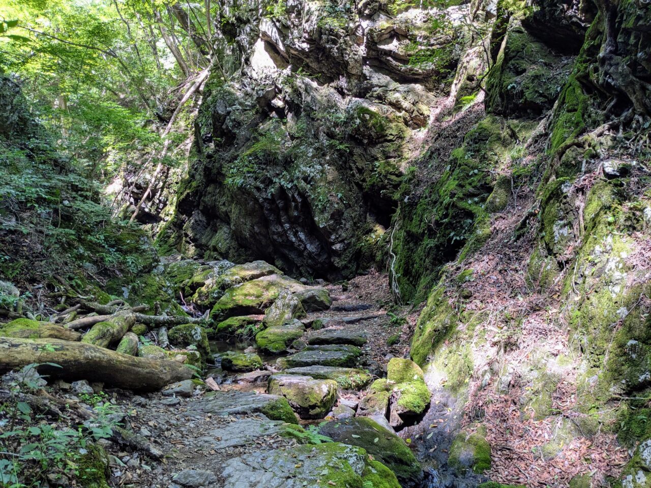 御岳山(ロックガーデン)