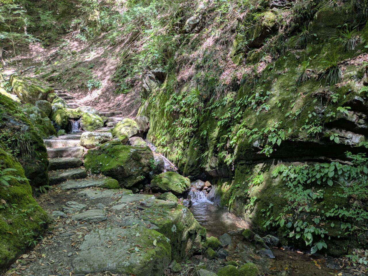 御岳山(ロックガーデン)