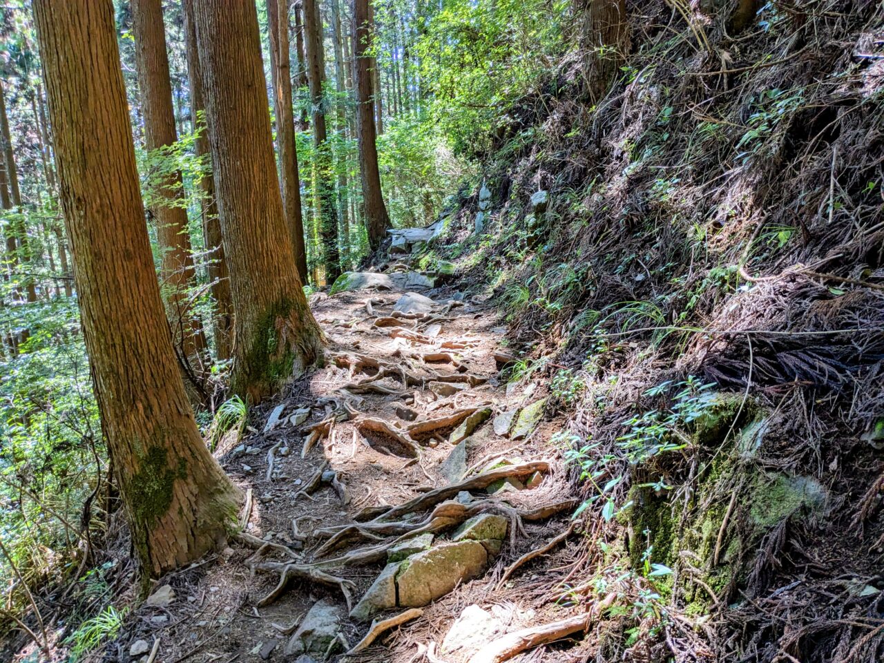 御岳山(ロックガーデン)