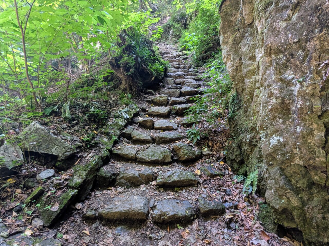 御岳山(ロックガーデン)